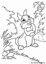 Bunnies Coloriage Conejitos Bunny Desenhos Ausmalbilder Couleur Colorir Malvorlagen Impresión sketch template