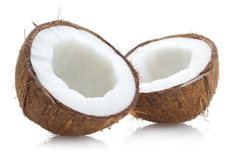 ist die kokosnuss eine nuss botanische einordnung