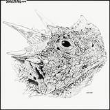 Toad Horned Drawing Horny Getdrawings sketch template