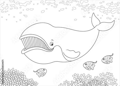 bowhead whale swimming  funny small fishes black  white vector