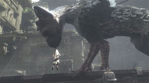 wallpaper the last guardian trico best games 2016 games 9379