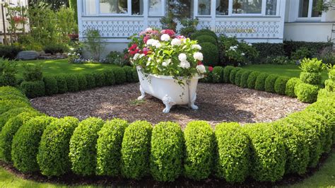 front yard decorating ideas     pure home improvement