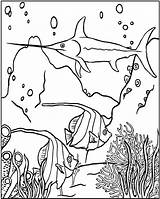 Underwater Scene Coloring Pages Drawing Getdrawings sketch template
