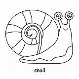 Snail Vecteezy sketch template