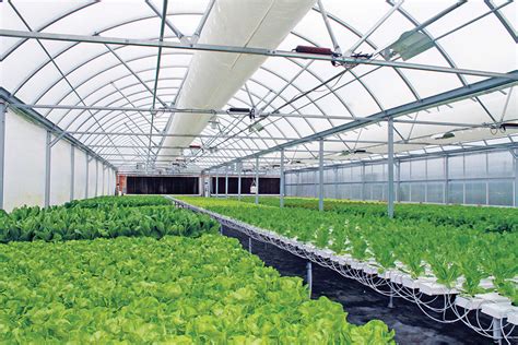 growers supply hosting controlled environment agriculture