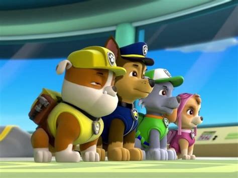 paw patrol pups and the lighthouse boogie pups save ryder tv episode