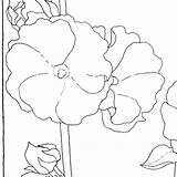 Hollyhocks Adult sketch template