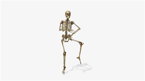 Skeleton Dance Gatna Style Stock Motion Graphics Sbv 323859018
