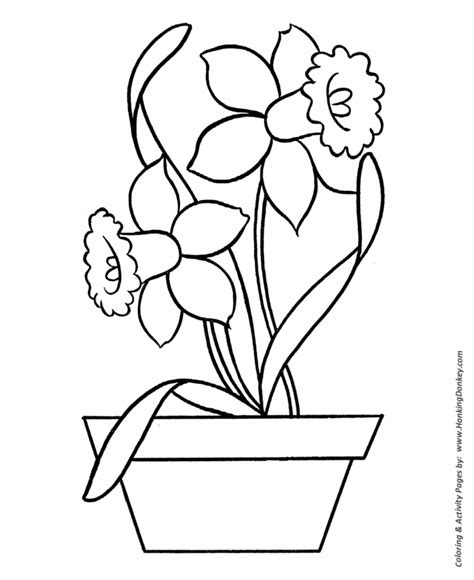 easy coloring pages  printable daffodils  pot easy coloring