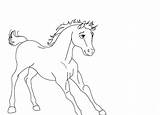 Spirit Stallion Pages Coloring Cimarron Getcolorings sketch template