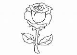 Rose Coloring Red Roses Cartoon Drawing Single Getdrawings sketch template