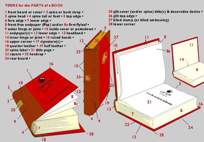 quick guide  parts   book book terms pinterest design
