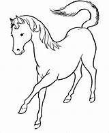 Horse Coloring Printable Pages Colouring Pdf Template Wild sketch template