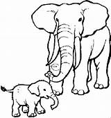 Coloring Printable Elephant Pages Popular sketch template