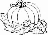 Pumpkin Cute Coloring Pages Drawing Thanksgiving Kids Getdrawings sketch template