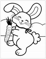 Rabbit Coloring Kids Pages Print Simple Animals sketch template