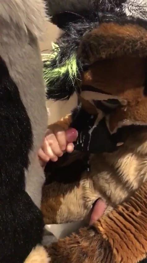 fursuit facial cum