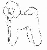 Poodle Caniche Pudel Bichon Malvorlage Frise Animado Aprende Rapido Tierno sketch template