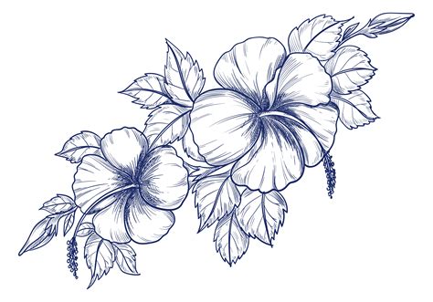 flowers drawing images  flower site