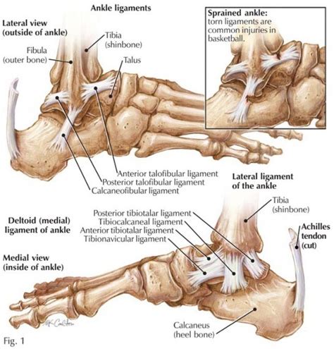 injury prevention system basketball   passion