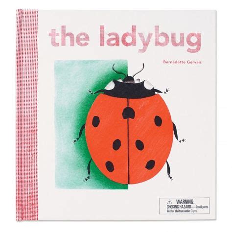 ladybug ladybug books childrens picture books