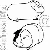Guinea Bestcoloringpagesforkids Pigs Colouring sketch template