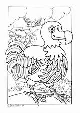 Dodo Malvorlage Teaching Educolor Schoolplaten Extinct Educima sketch template