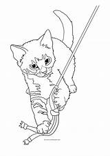 Printable Kittens Tabby Clipartqueen Calico Lure sketch template