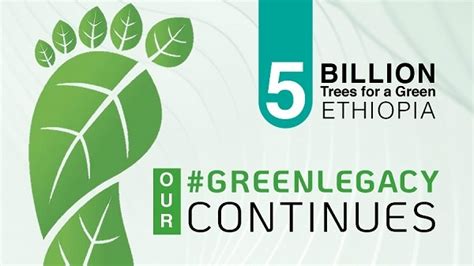green legacy project ethiopia   plant  billion seedlings  year