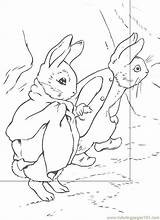 Rabbit Peter Coloring Clipart Pages Printables Library sketch template