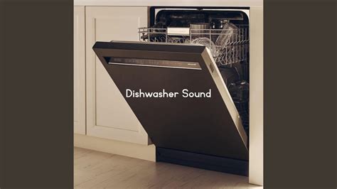 dishwasher noise youtube