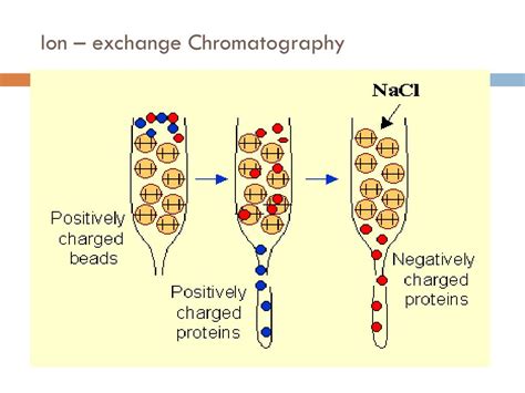 ion exchange