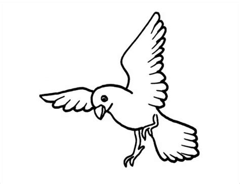 bird coloring pages  ai