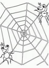 Spider Funnel sketch template