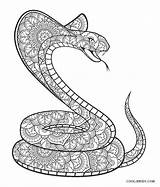 Snake Coloring Pages Printable Print Kids Fangs Popular sketch template