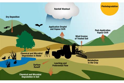 Processes Involved In The Movement Of Pesticides From The Application