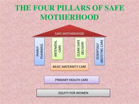 experts drum support for safe motherhood campaign initiative