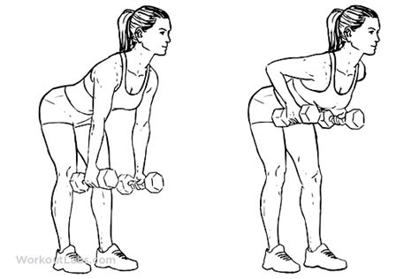 standing two armed bent over dumbbell rows workoutlabs