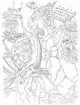 Paradise Pages Color Dover Tropical Publications Scenes Coloring Adult Paint Doverpublications Book Colouring Printable Animals Books sketch template