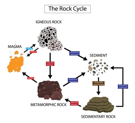 beginners guide  types  rock igneous sedimentary
