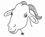 Goat Face Clipart Cartoon Drawing Cliparts Coloring Head Colouring Pages Clip Children Library sketch template