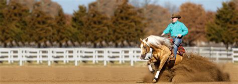 reining horse health  nutrition