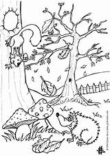 Herfst Kleurplaat Eekhoorn Egel Kleurplaten Colorat Toamna sketch template