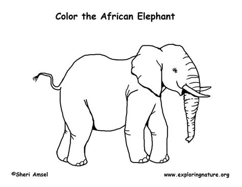 african savanna animals coloring pages elephant coloring african