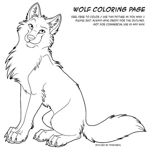 pin  yulia fantast  volki cute wolf drawings cute easy animal drawings wolf colors