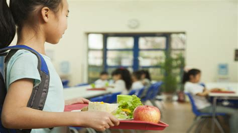 solving the hunger problem in our schools metro us