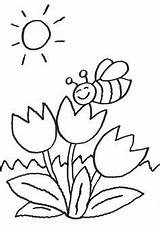 Ausmalbild Biene Blume Ausdrucken Malvorlage Malvorlagen Bienen Vorlagen Rosen Frühling Schmetterling Drucken Vorlage Blumenwiese Paveiksliukai Malen Clip Besuchen Ausmalbildervorlagen Malblatt sketch template