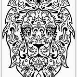 Coloring Pages Therapeutic Printable Adults Pdf Blank Getcolorings Therapy Color sketch template