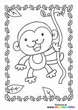 Monkey Liana Vivo Monkeys sketch template