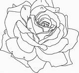 Roses Coloring Rose sketch template